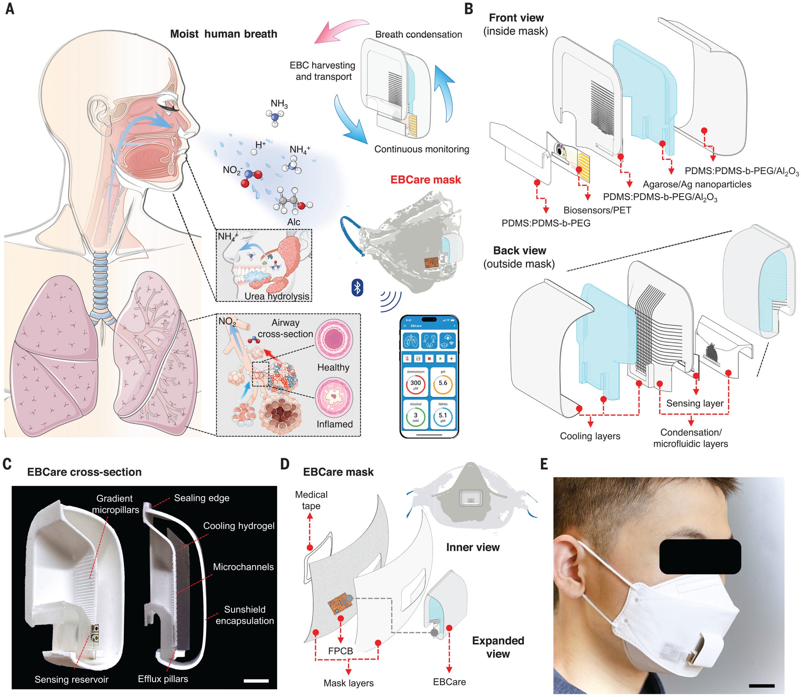  A smart EBCare (exhaled breath condensate analysis and respiratory evaluation) mask for efficient harvesting and continuous analysis of exhaled breath condensate.