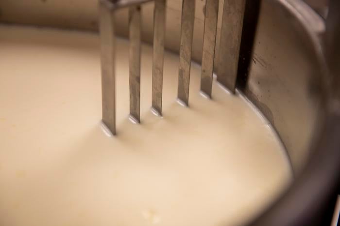 Samples included many collected from cheese making facilities

