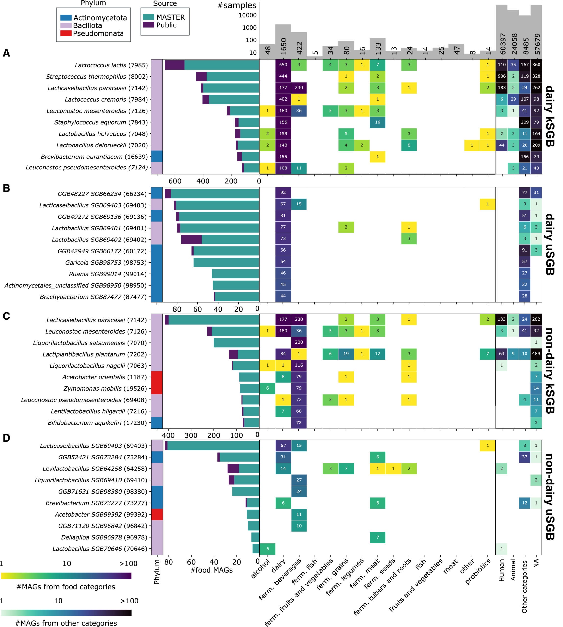 Distribution of the prokaryotic MAGs across food categories