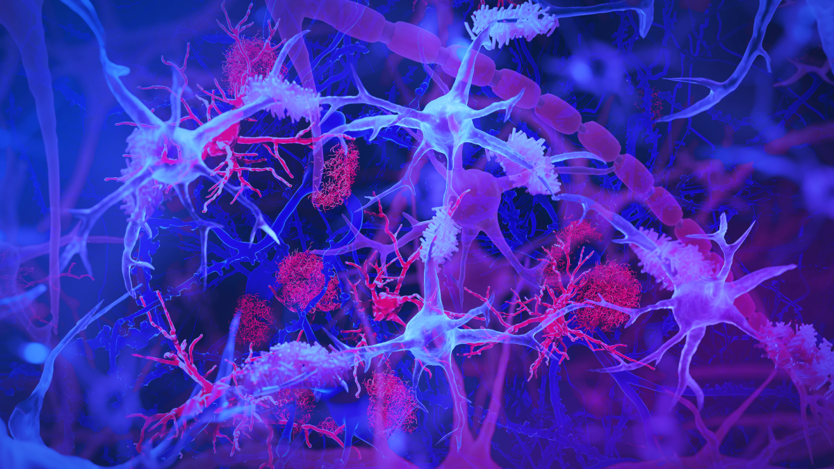 The illustration highlights the microglia’s role in monitoring brain health and clearing debris.