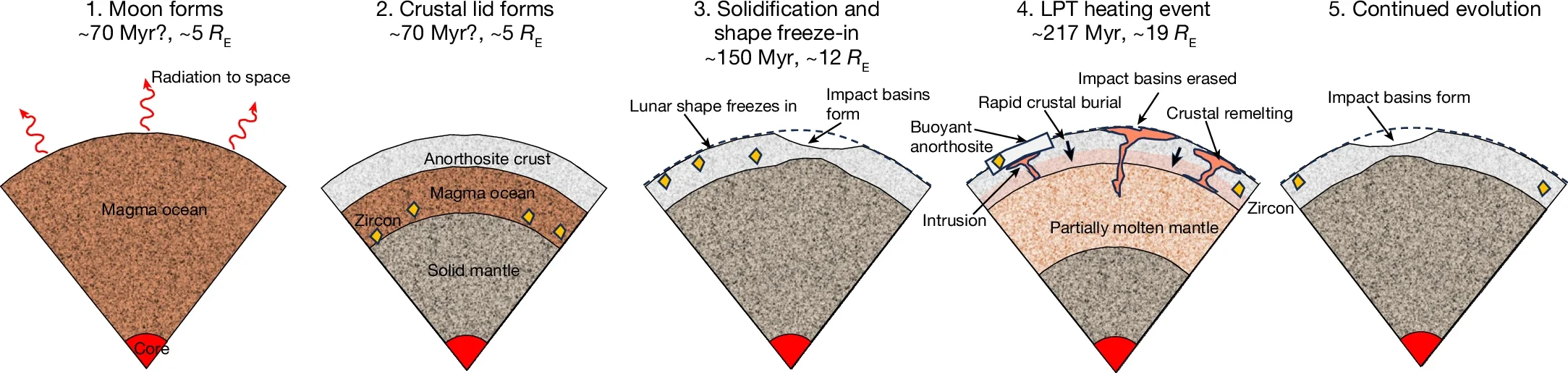 Hypothesized timeline of events. The timing of Moon formation and initial magma ocean freezing is uncertain. Zircons form during the final stages of LMO crystallization and are then transported upwards during eruptions.