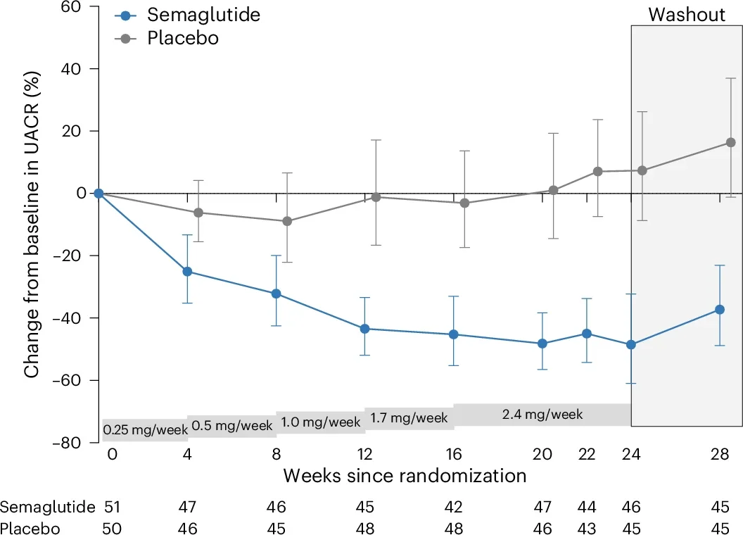 Adjusted geometric mean percentage change from baseline in the semaglutide and placebo groups is shown and was calculated using an MMRM with two-sided P values and with fixed effects for treatment, visit, baseline log-transformed UACR, the interaction between treatment and visit and the interaction between baseline log-transformed UACR and visit. Error bars represent the 95% CI. Numbers in the lower panel represent the numbers contributing to the mean.

