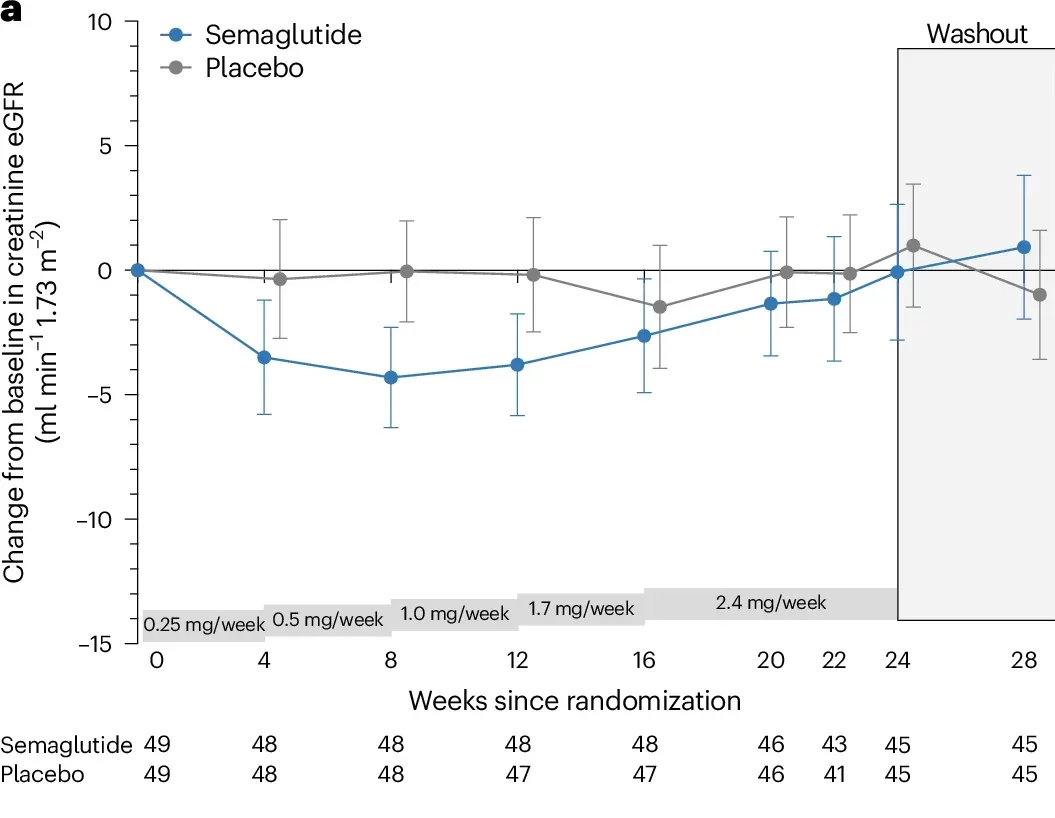 The effect of semaglutide compared to placebo on eGFR and mGFR was calculated using an MMRM with two-sided P values and with fixed effects for treatment, visit, baseline log-transformed UACR, the interaction between treatment and visit and the interaction between baseline and eGFR or mGFR. a, Creatinine-derived eGFR over time.