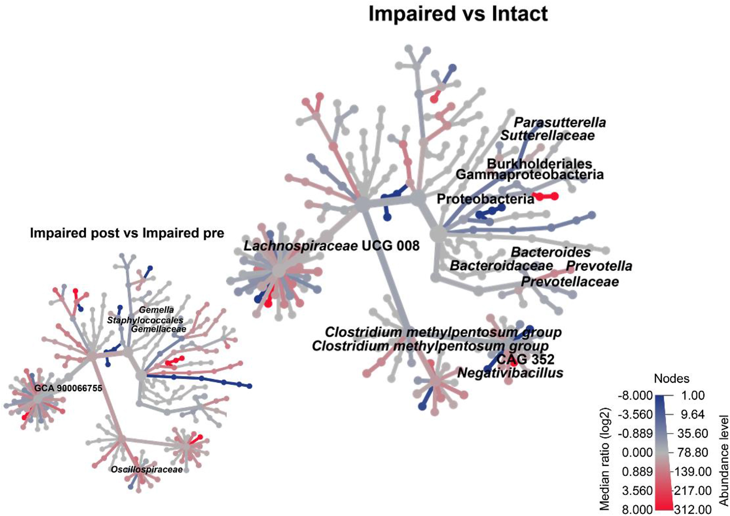 This study investigated the gut microbiome composition and predicted microbial functional pathways of middle-aged and older adults that met criteria for mild cognitive impairment (MCI), compared to neurologically healthy individuals, and investigated the impact of probiotic Lactobacillus rhamnosus GG (LGG) in a double-blind, placebo-controlled, randomized clinical trial. 