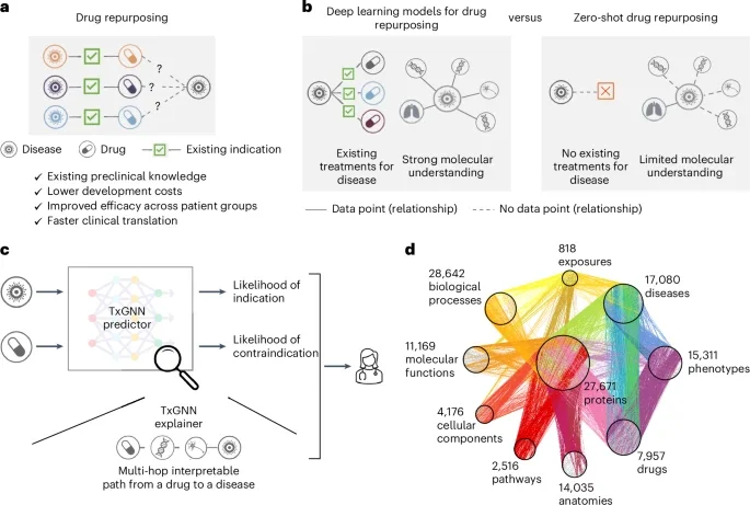 TxGNN is a graph foundation model for drug repurposing, identifying candidate drugs for diseases with limited treatment options and limited molecular data.