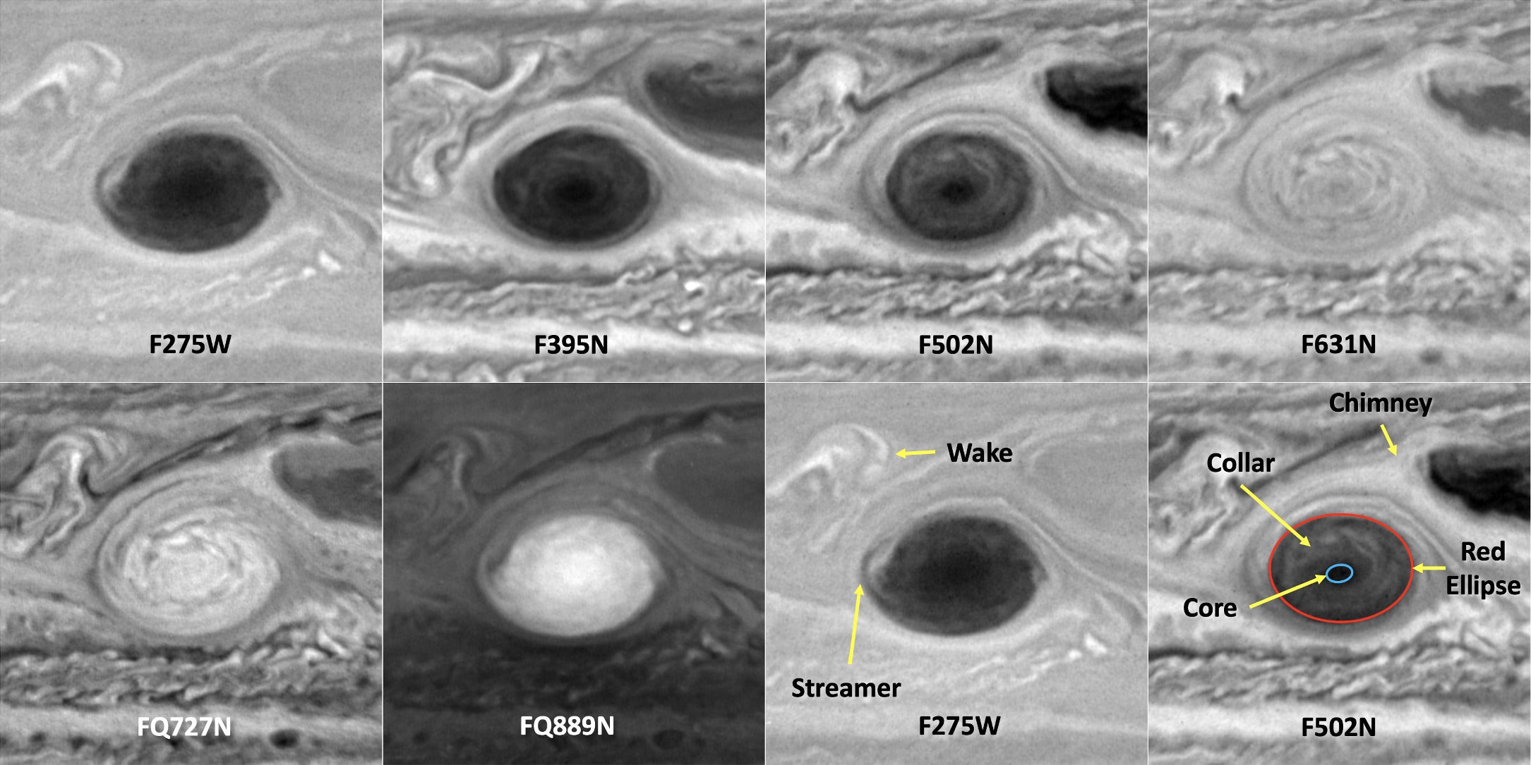 The GRS's appearance at wavelengths from 275 to 889 nm on 2023 December 10. The GRS is dark in the UV (F275W), violet (F395N), and green (F502N) filters but shows little contrast at red wavelengths (F631N). The methane absorption bands (FQ727N and FQ889N) are sensitive to clouds at different tropospheric altitudes, but not as high as in the UV, which is sensitive to stratospheric haze.