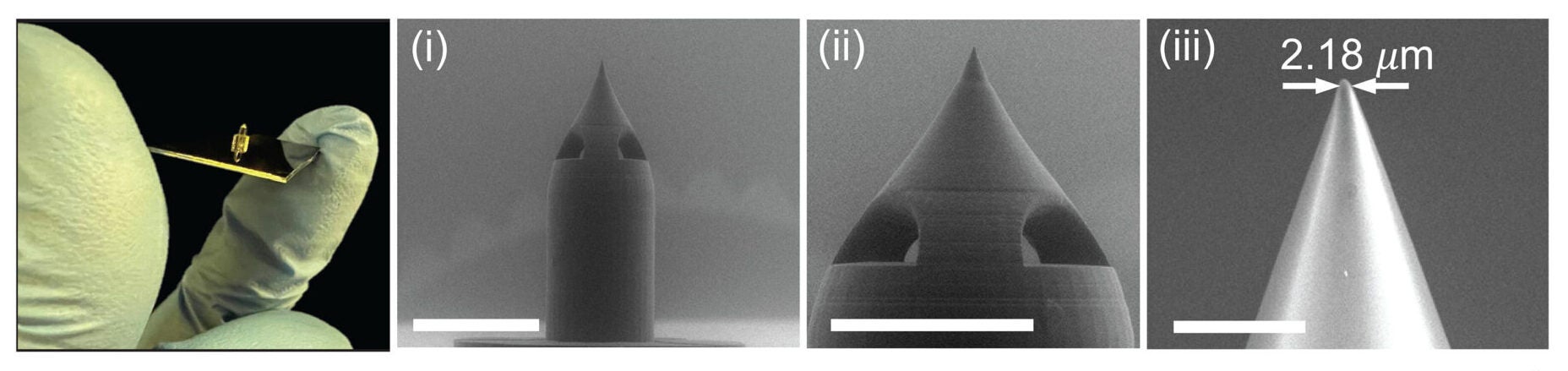 Microneedle microscopy images showing (i) the microneedle side, (i) the printed inlet features, and (iii) the microneedle tip. Scale bars, (i and ii) 500 μm and (iii) 50 μm.