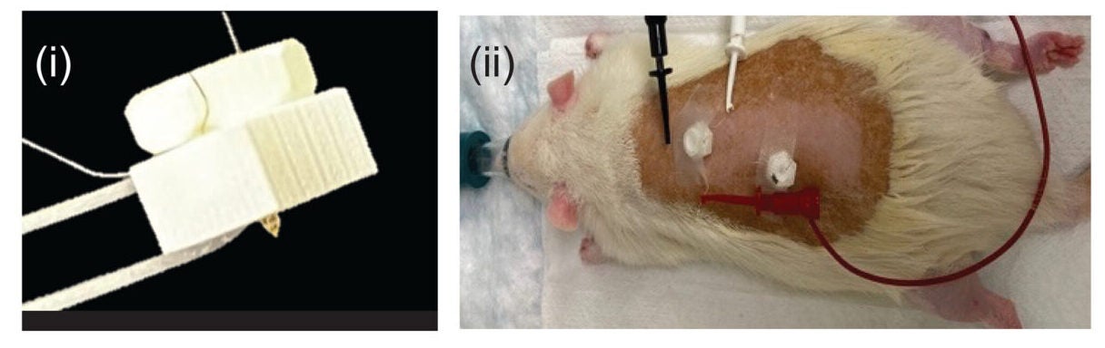 Implanted microdevice. (i) The device mounted with housing for dermal implant. (ii) Administration of the sensing platforms on rat dorsal skin. 