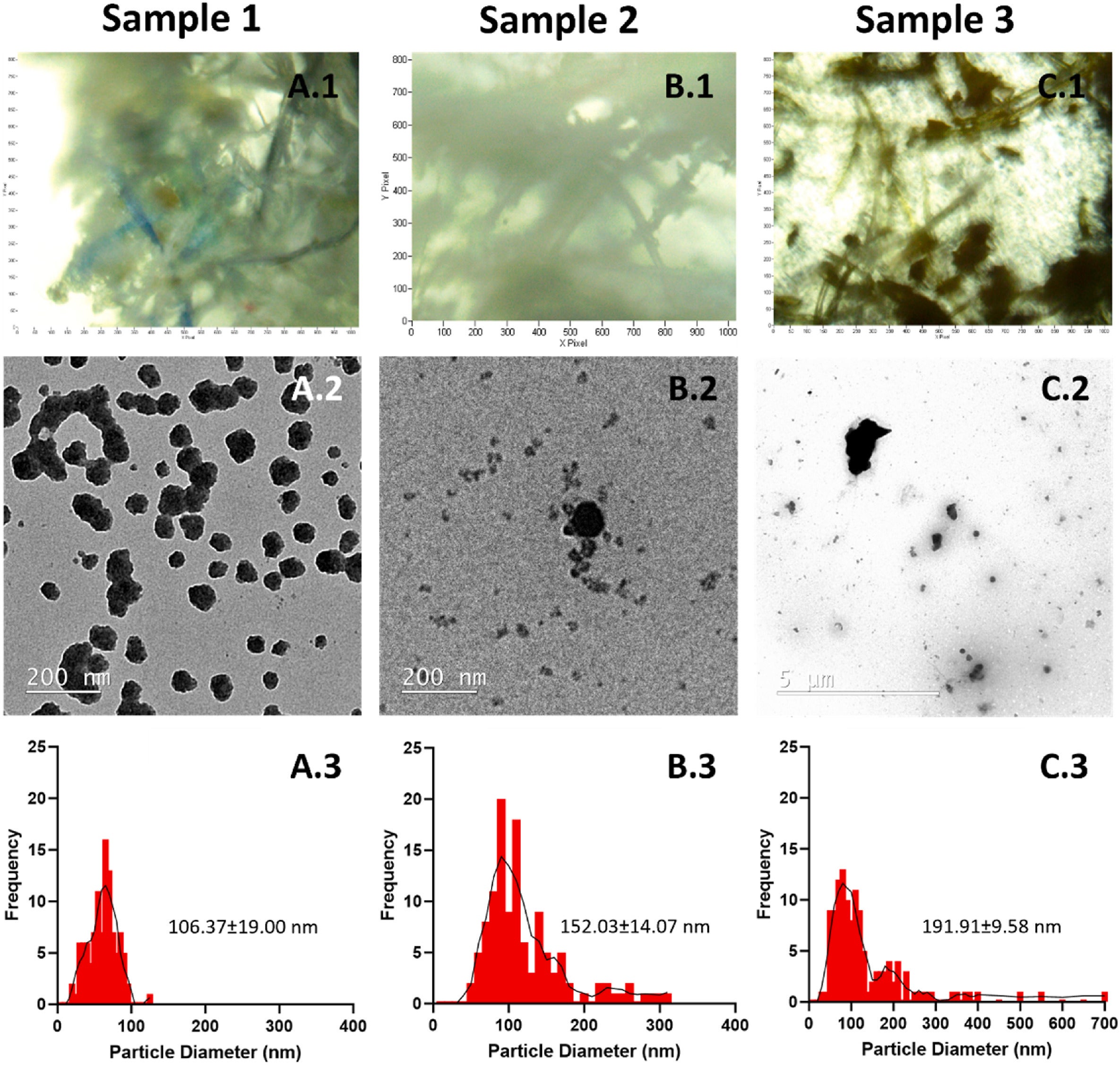 Teabags leachate characterization. (A-C.1) ATR-FTIR images of leachate pellets released from the cup-of-tea procedure of Sample 1-, Sample 2-, and Sample 3-teabags. (A-C.2) TEM images of the MNPLs fraction leached from the Sample 1-, Sample 2- and Sample 3-teabags. (A-C.3) Primary particle size of the leached MNPLs measured from TEM images