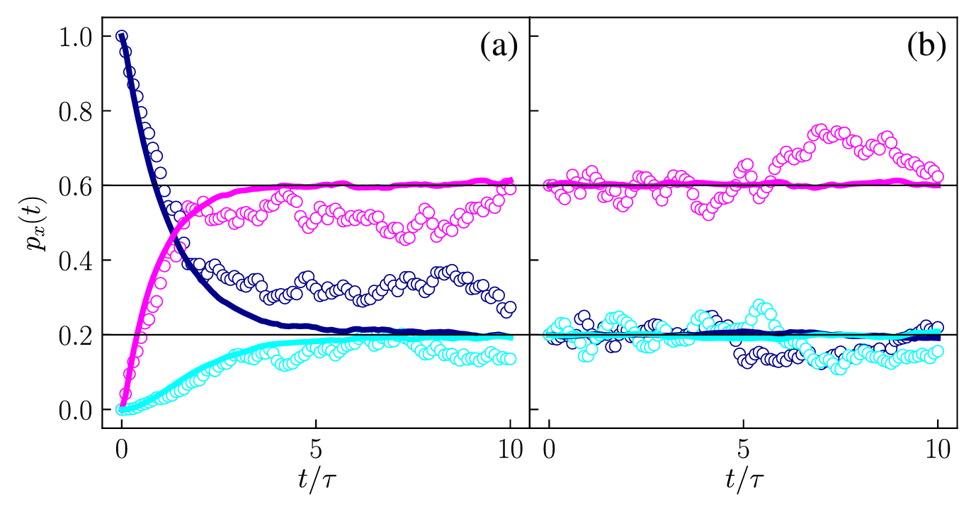 Researchers consider the time evolution of the macrostate distribution px(t) = (ψ(t) | Π(x) | ψ(t)) for two different Hilbert space dimensions. 