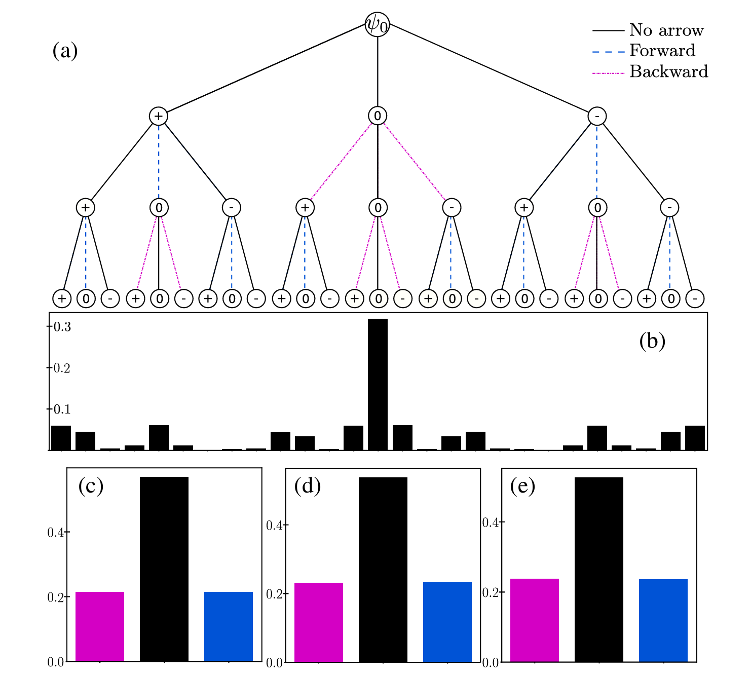 Depiction of the branching structure of the multiverse with respect to the initial time t0 and with respect to our chosen coarse-graining.