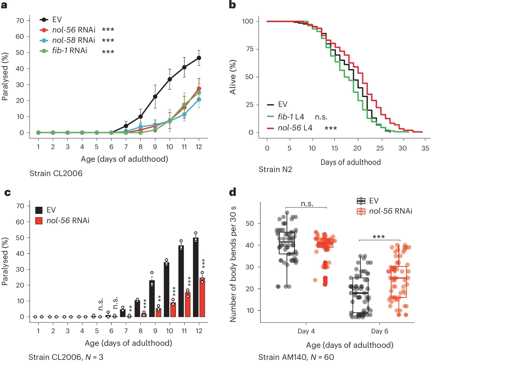 The FIB-1–NOL-56 complex regulates proteotoxicity.