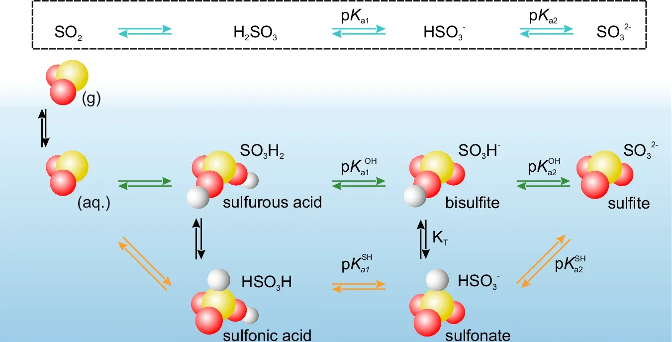 Acid–base equilibria of S(IV) species at the liquid-vapor interface.