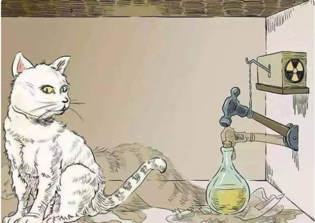 Schrödinger's famous thought experiment involving a cat in a sealed box with a potentially lethal poison. 