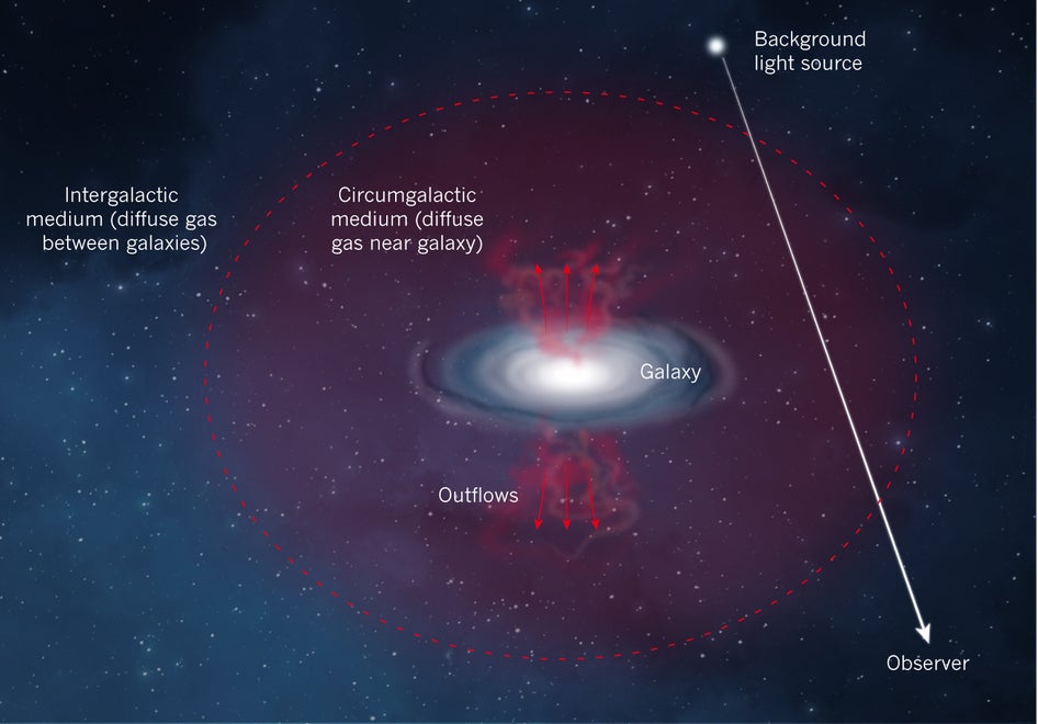 The CGM is a massive reservoir of diffuse, multiphase gas out to ~200 kpc and is the interface between the intergalactic medium and the galaxy.