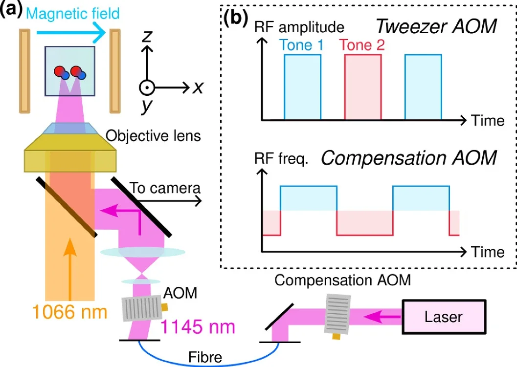 Generation of multiple magic-wavelength tweezers. Simplified optical setup of the magic tweezers used in the experiment. 