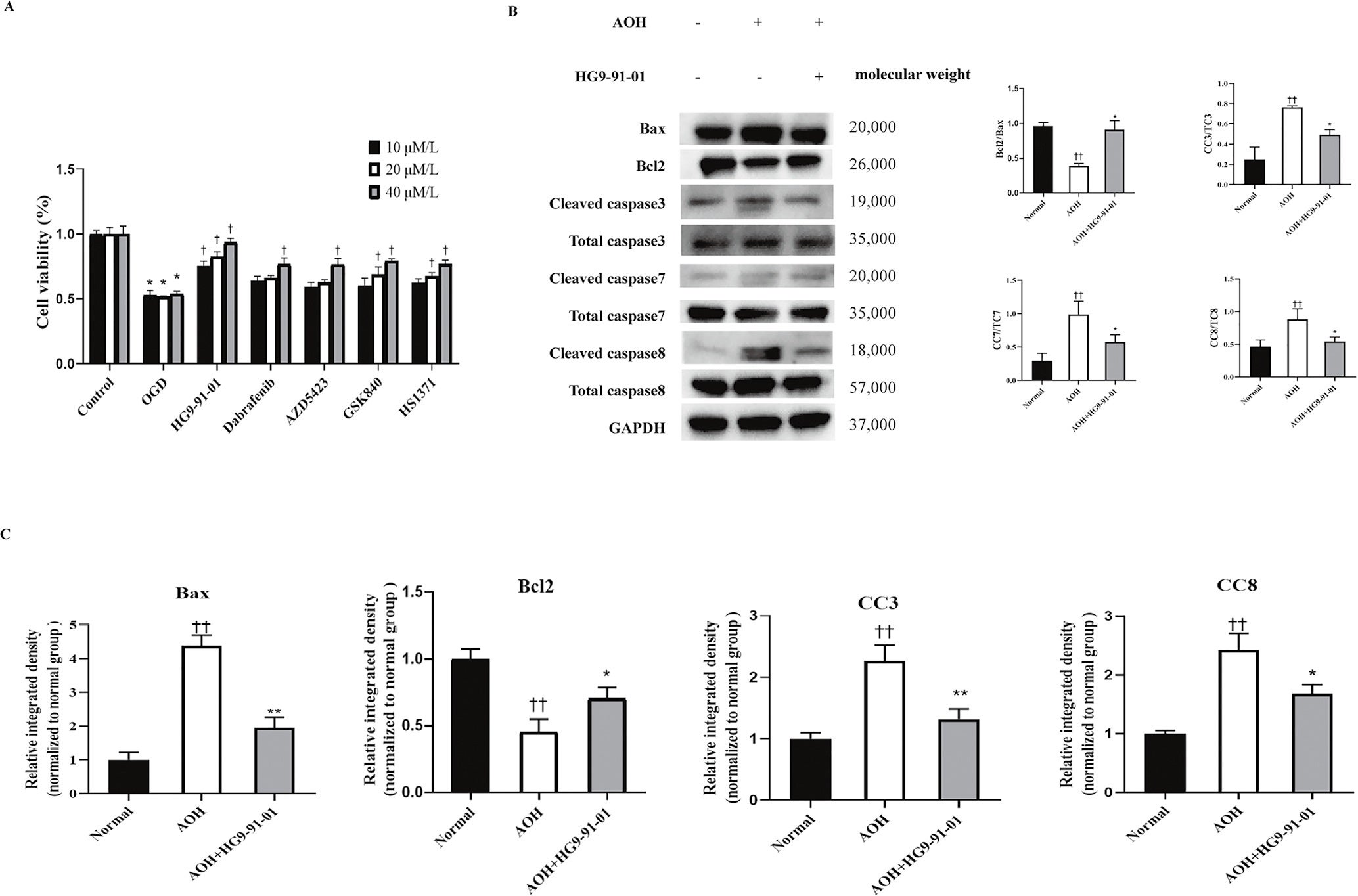 Effects of HG9-91-01 on the expression of apoptosis-associated proteins in AOH mice.