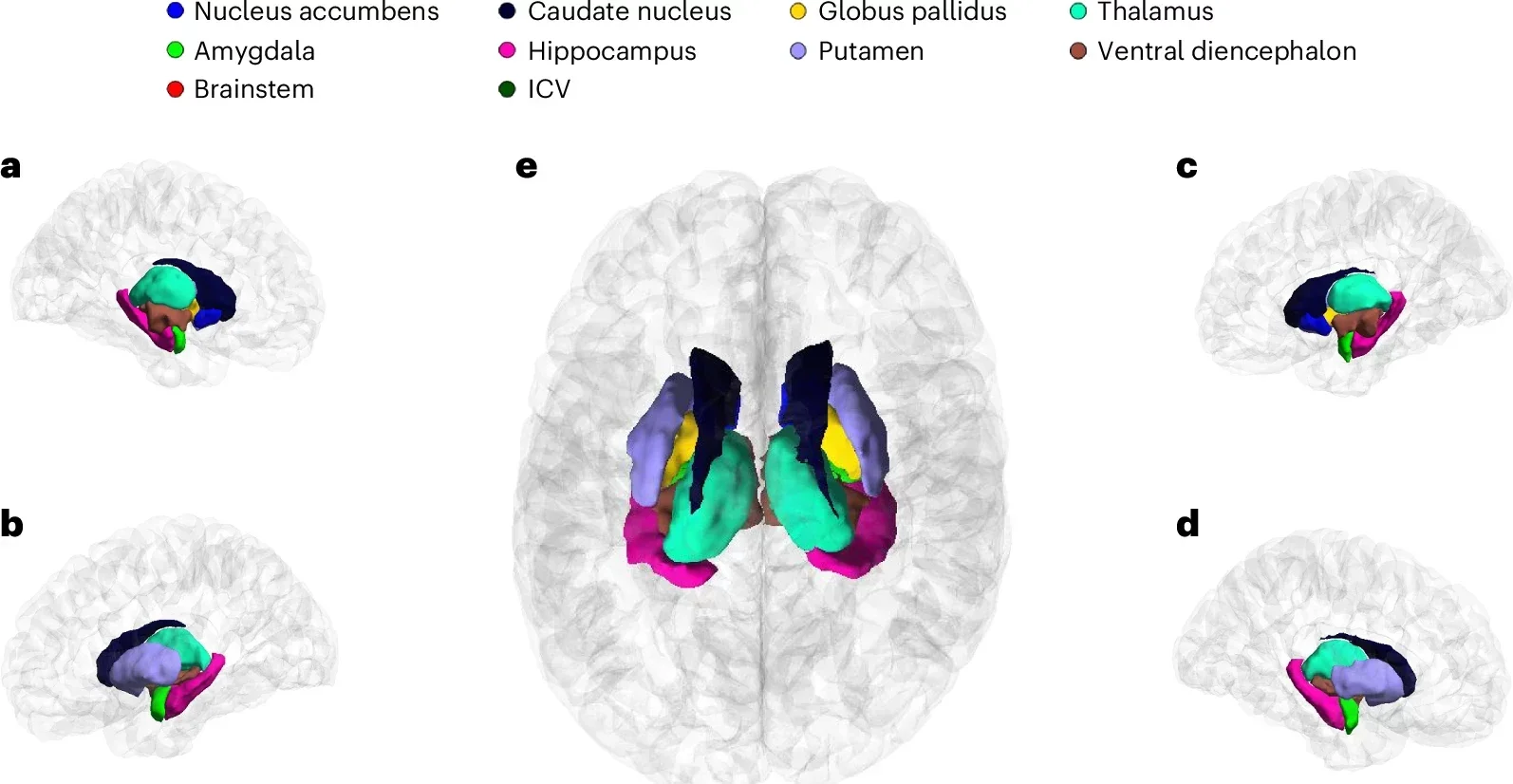 Meta-analyses results overview.