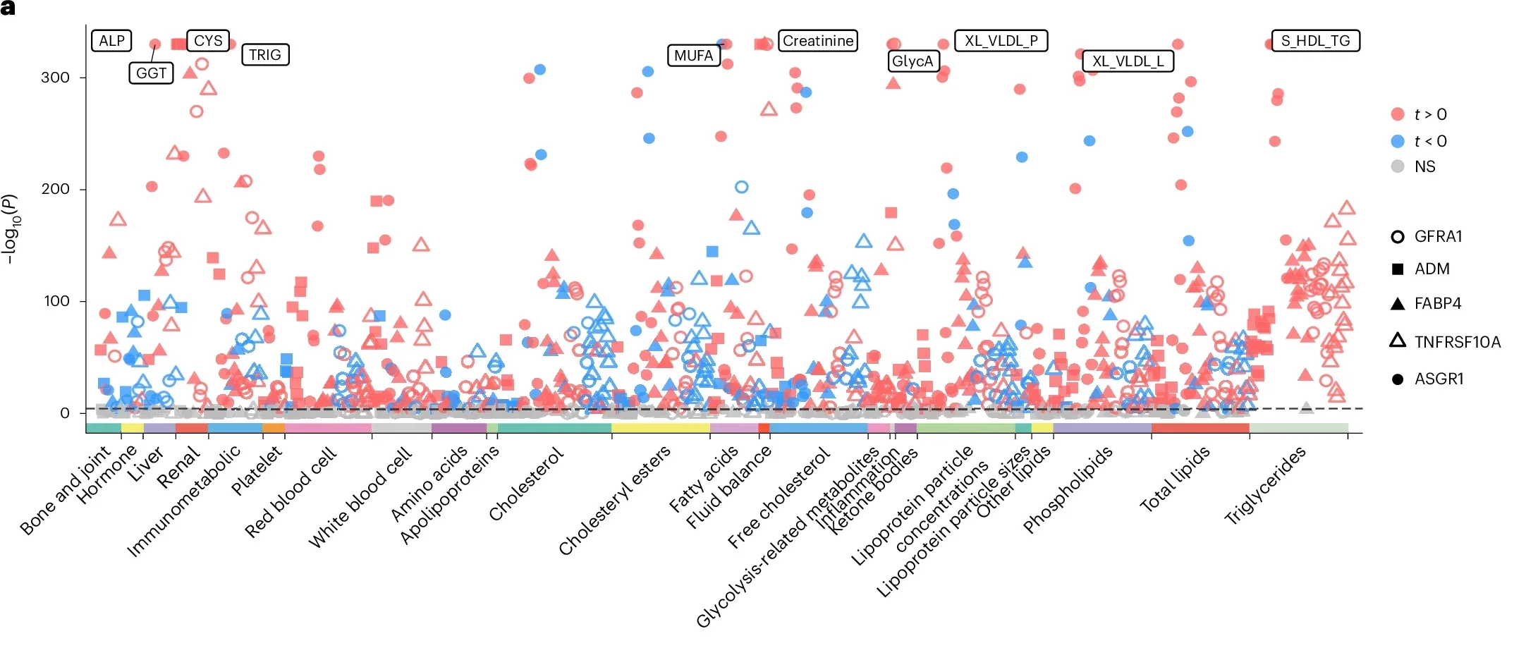 Association of MR-identified proteins with blood biomarkers and brain volumes.