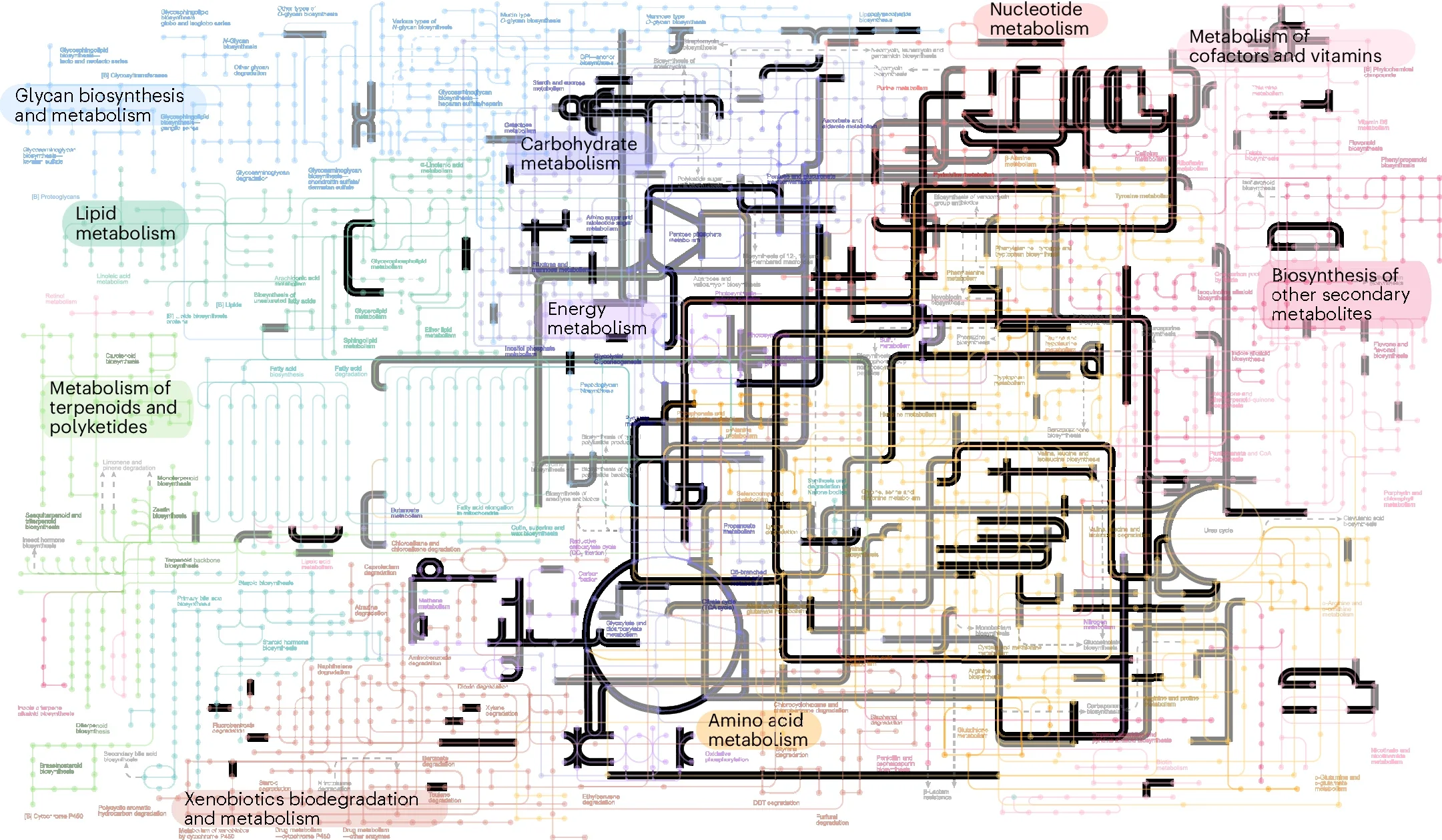 Probabilistic estimates of metabolic networks from modern life that were present in LUCA.