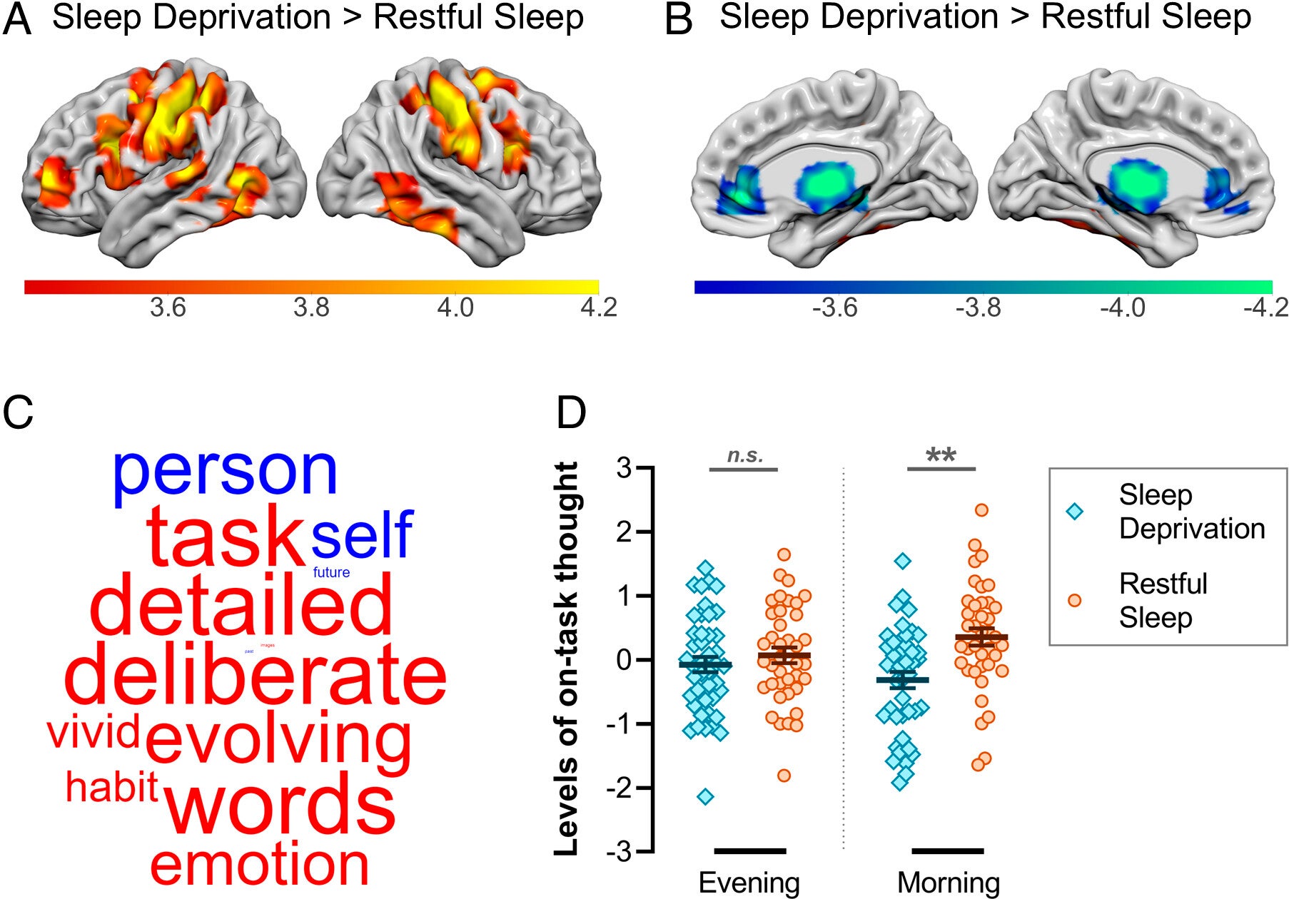 RS functional connectivity and self-generated patterns of thought.